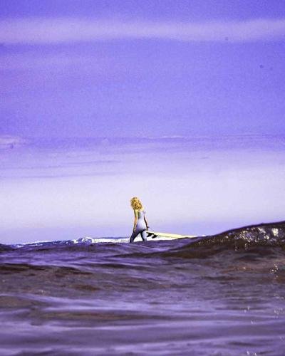 surf-rose